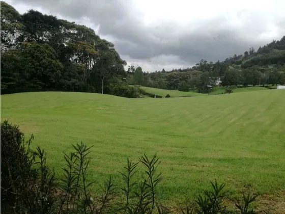 Lote En Parcelacion Vía San Antonio- La Ceja