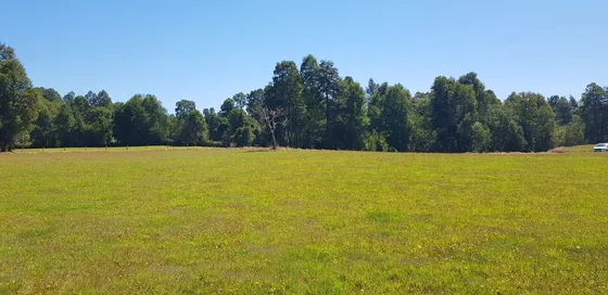 Se Vende Terreno En Runca Máfil 