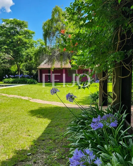 Quinta En Venta En El Alpino