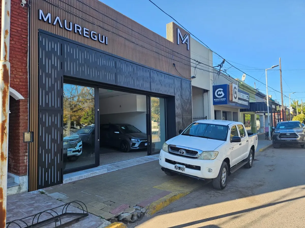 Toyota Hilux Pick-Up 2.5 Dx Cab Doble 4x4 (2009)