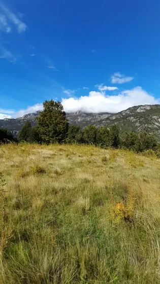 Venta Terreno Futaleufú