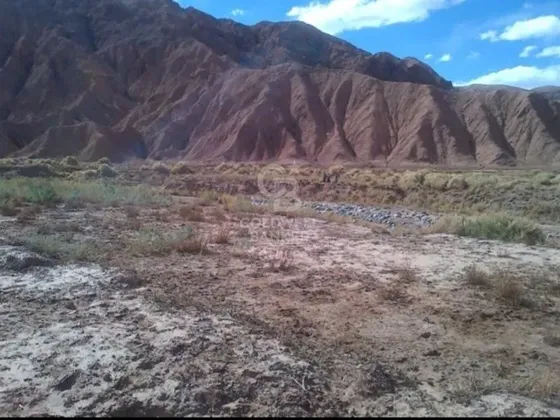 Terreno Agricola En San Pedro De Atacama