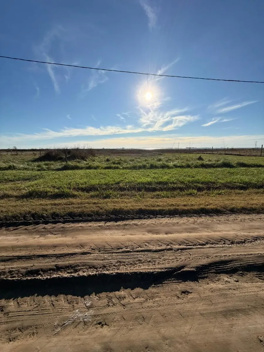 Land for Sale in San Eduardo, 15x60 meters