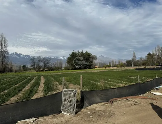 Parcela Agricola, 14 Hás. Planos, Santa María, San Felipe