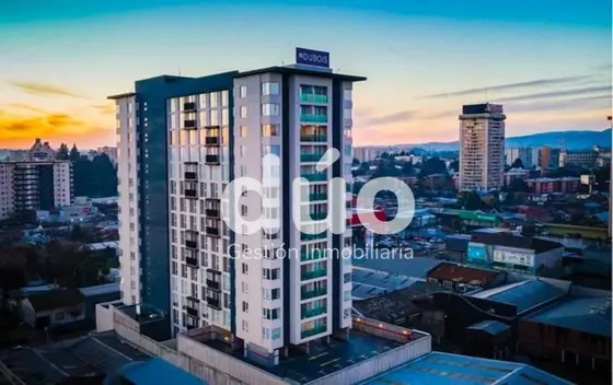 Departamento Amoblado Cercano De Av. Alemania (161358)