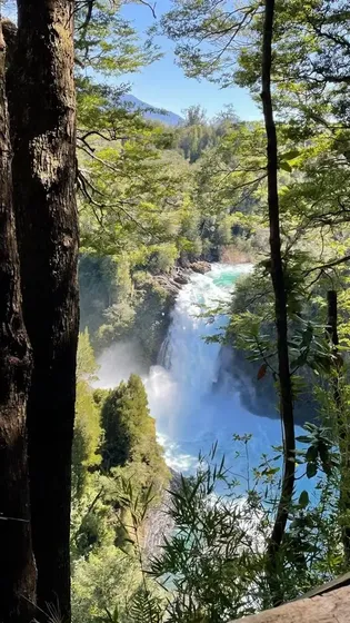 Maravilloso Terreno En Reserva Biologica Huilo Huilo
