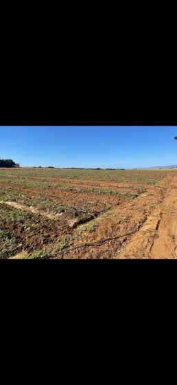 Magnifica Finca De Venta El Mao, Camino A Pueblo Nuevo.  