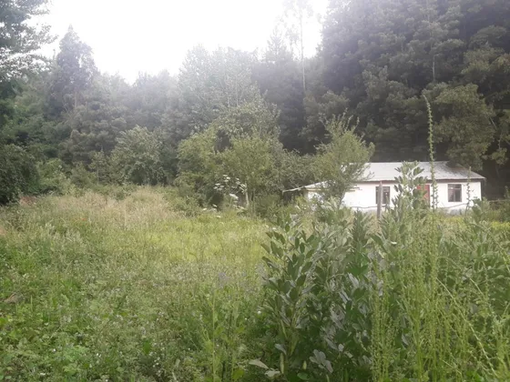 Venta De Sitio Con Casa En Penco