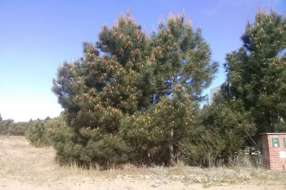 Terreno En Venta En Barrio Cerrado Costa Esmeralda