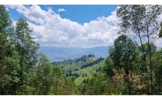 Venta Lotes En Belén Medellín