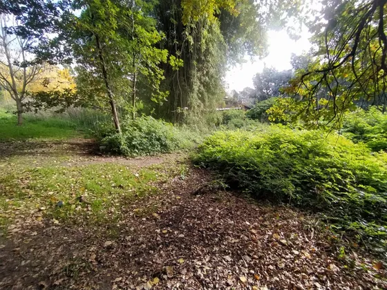Lote De 654 Metros Cuadrados En Venta, Sierra De Los Padres, Mar Del Plata