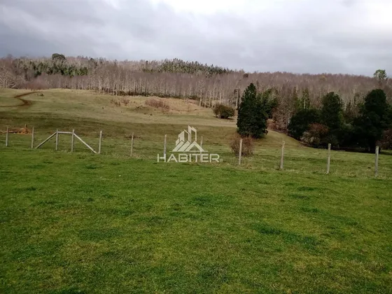 Campo En Venta En Lanco