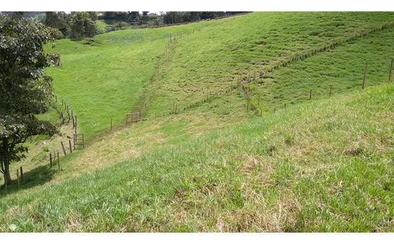 Lote En Venta Vereda La Pulgarina En San Pedro De Los Milagros 