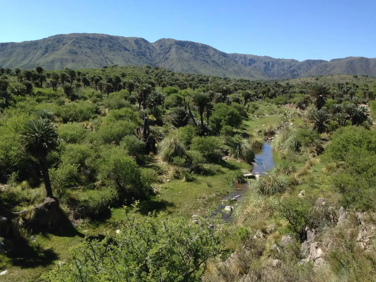 Campo En San Francisco Del Monte De Oro. Oportunidad.
