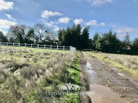 Sitio En Venta En San Clemente