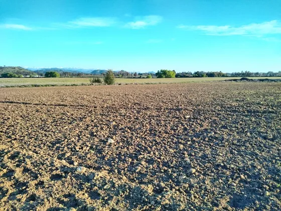 33,5 Ha Planas, Agua, Pavimento, San Clemente, Vii R