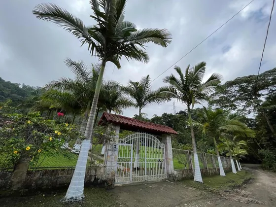 Finca En Mesitas Del Colegio Con Piscina Y Jacuzzi
