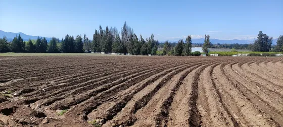 Terreno Agricola De 6 Hectareas, Plano