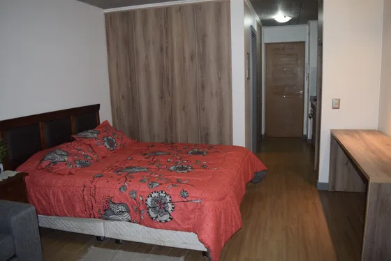 Departamento Estudio A Pasos De Av. Alemania, Uc.