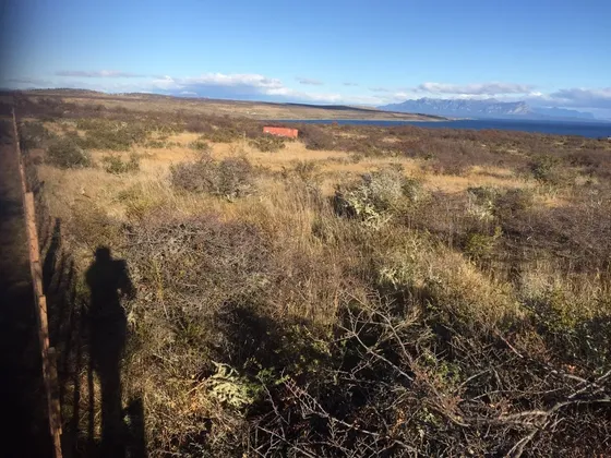 Espectacular Terreno En Venta En Puerto Natales.