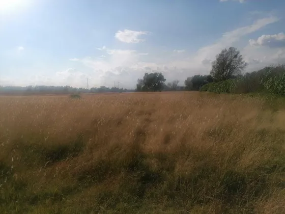 Terreno En Venta En San Andrés