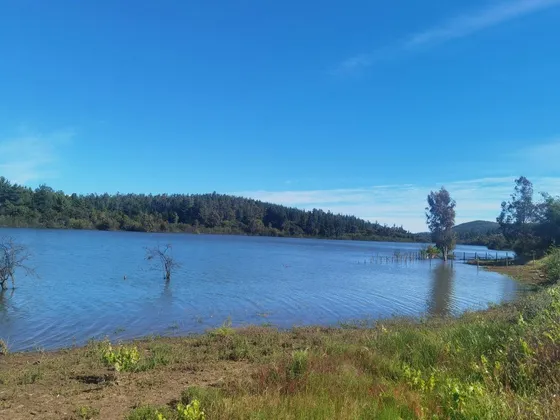 Sitio En Venta En Cauquenes