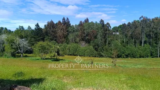 ¡oportunidad! Parcela 1 Há En Panguipulli Sector ...