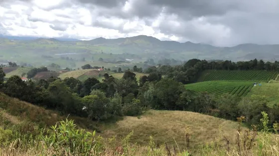 Hermoso Lote Entre La Unión Y El Carmen De Viboral , Tiene Entrada Por Ambos Pueblos.