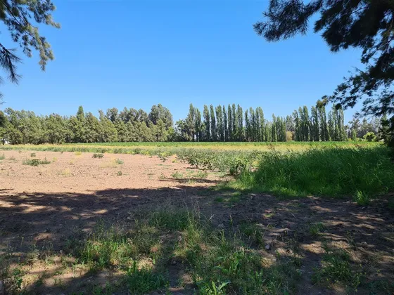Sitio En Venta En Calera De Tango
