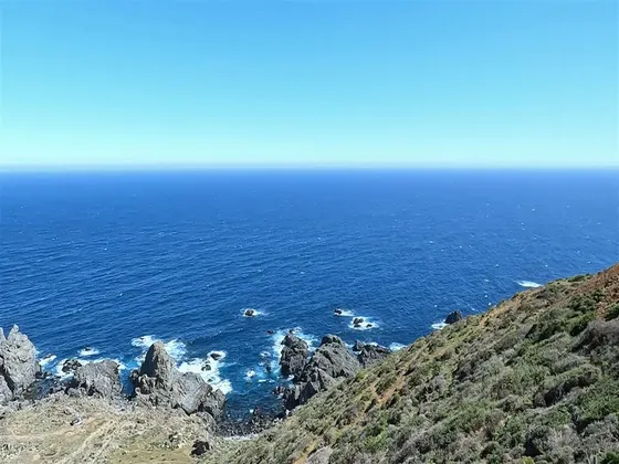 Parcela De 5000mt2 , Vende Dueño Rol Propio Areas Comunes