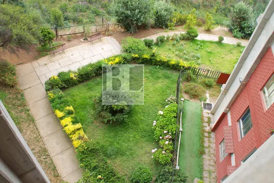 7 Hermanas, Forestal, 3d