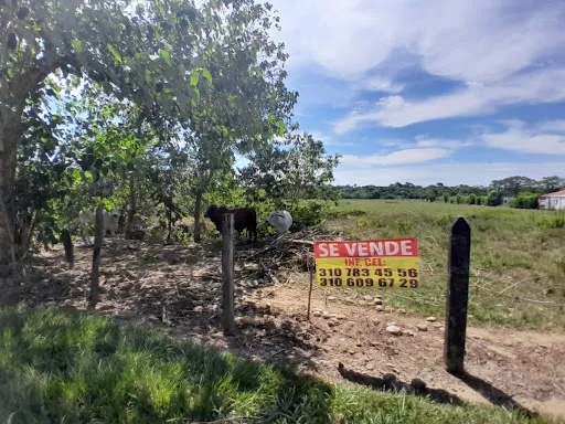 Lotes En Venta Vereda Pompeya 462-915