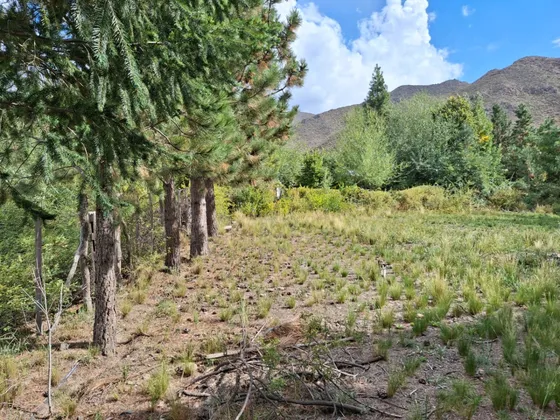 Lote En Barrio Los Zorzales - Potrerillos - Mendoza