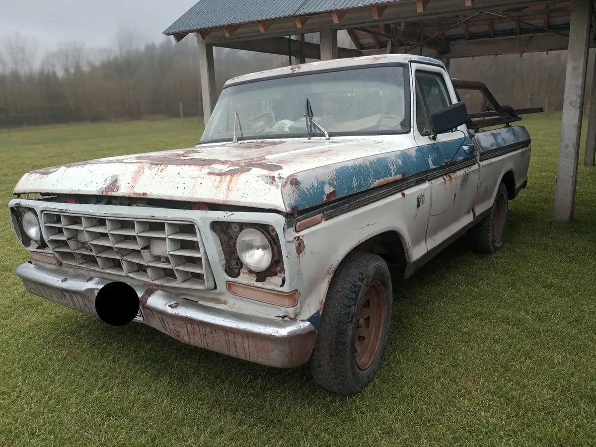 Ford F-100 3.6 Std