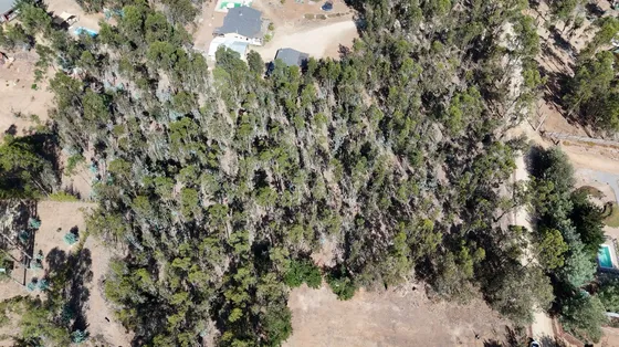 Venta Terreno En Algarrobo, El Totoral 5000m2