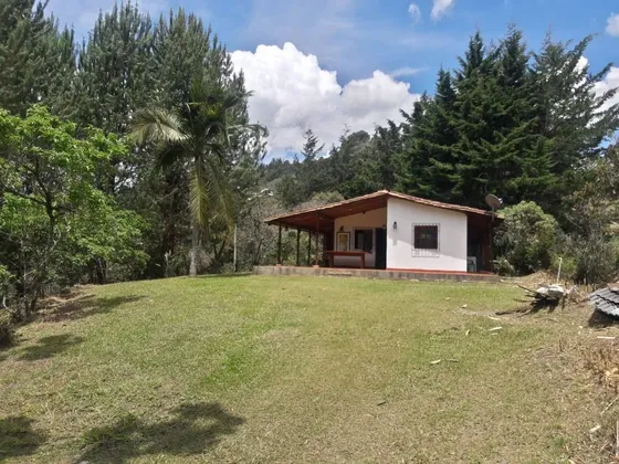 Finca En Arriendo En Rionegro, Antioquia 