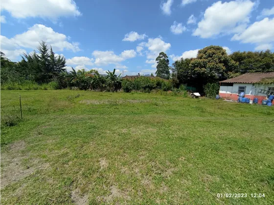 Lote Para La Venta En La Ceja - Vía La Ceja