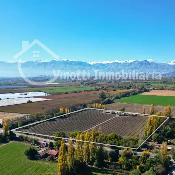 Rinconada De Los Andes: 4,5 Há Mixtas Con Ubicación Premium 