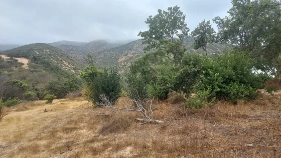 Vendo Parcela En Fundo El Rincón De Peñablanca.