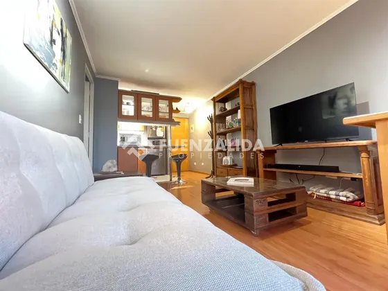 Departamento En Venta De 1 Dorm. En Santiago