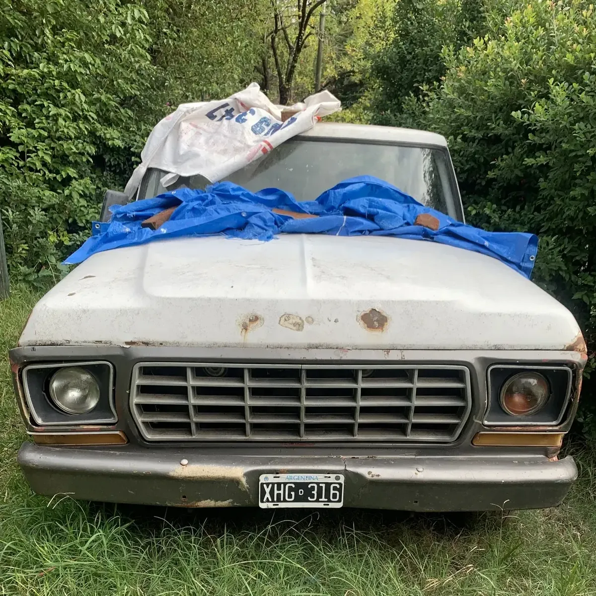 Ford F-100 3.6 Std