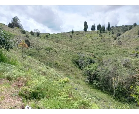 Lote En Venta Ubicado En Nuevo Proyecto En Parcelación Guarne