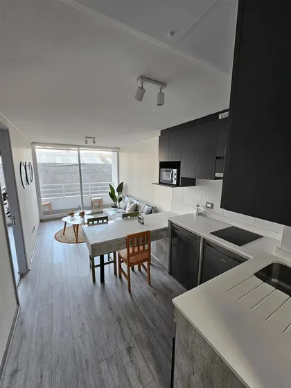 Departamento 1 Dormitorio En Venta En Santiago