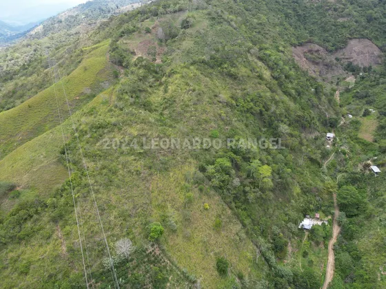 Se Vende Finca Con 300 Hectáreas En Santa Cruz De Mora, Mérida