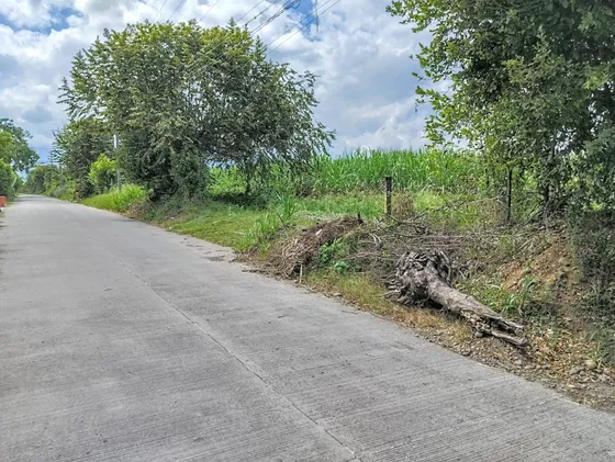 Guacarí, Guabitas, 20.080 M2, Lote En Venta.
