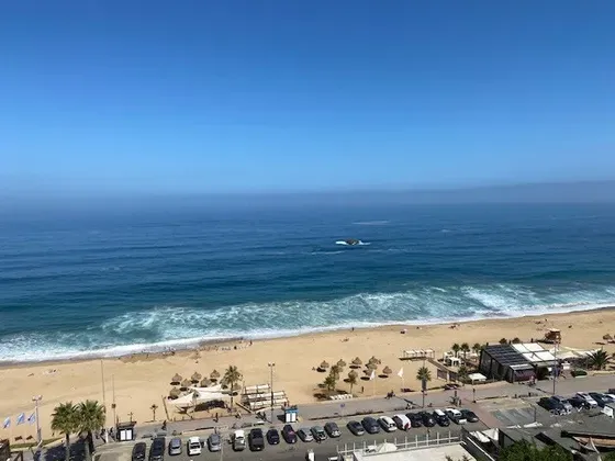Depto Enta Vista Al Mar 3 Dorm 2 Baños Estacio Reñaca Viña