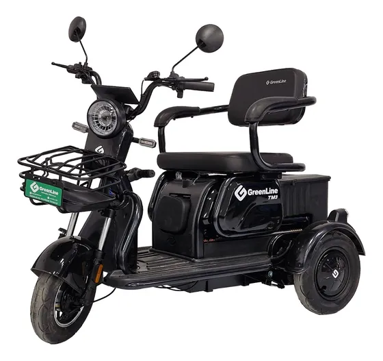 Triciclo Electrico Tm3