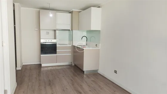 Departamento En Arriendo De 1 Dorm. En Santiago