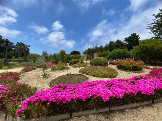 Espectacular Casa En Condominio En Cachagua