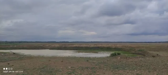Finca Tocayo De La Costa Chichiriviche Estado Falcón Yd